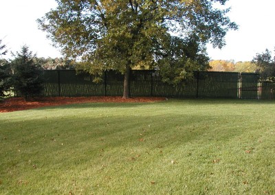 Vinyl Coated Chain Link Fence w/ Hedge Slat