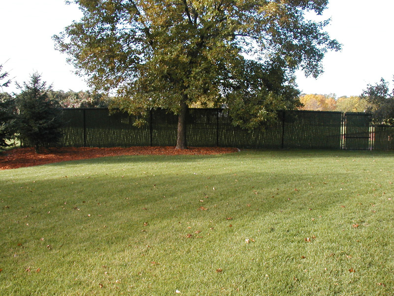 Blaine Chain Link Fence