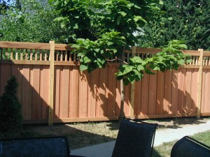 Blaine Minnesota Fence Company