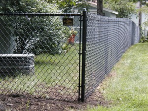 Chain Link Dog Fence Minnesota