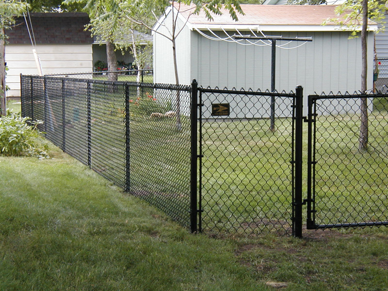 Blaine Chain Link Fence