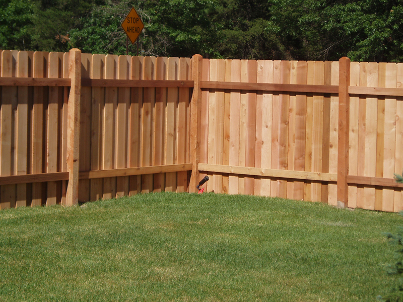 Privacy Dog Fence