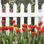 picket-fence-installation-mn