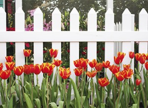 Wood Picket Fence Install Twin Cities MN