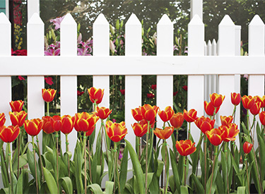 picket-fence-installation-mn