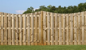 Cedar Privacy Fence Ham Lake